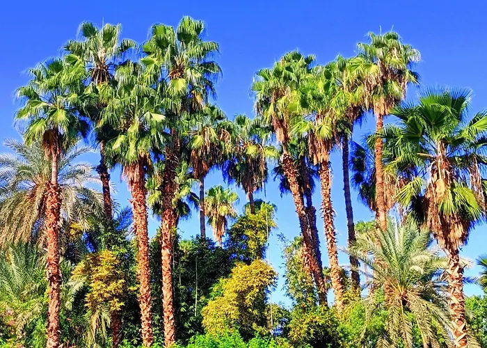 Superbe Apt Avec Vue Sur Les Jardins Majorelle, Face Au Musee Ysl, Rue Yves Saint Laurent