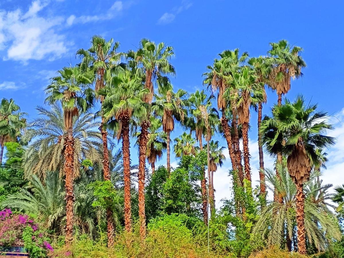 Superbe Avec Vue Sur Les Jardins Majorelle, Face Au Musee Ysl, Rue Yves Saint Laurent Appartement Marrakesh