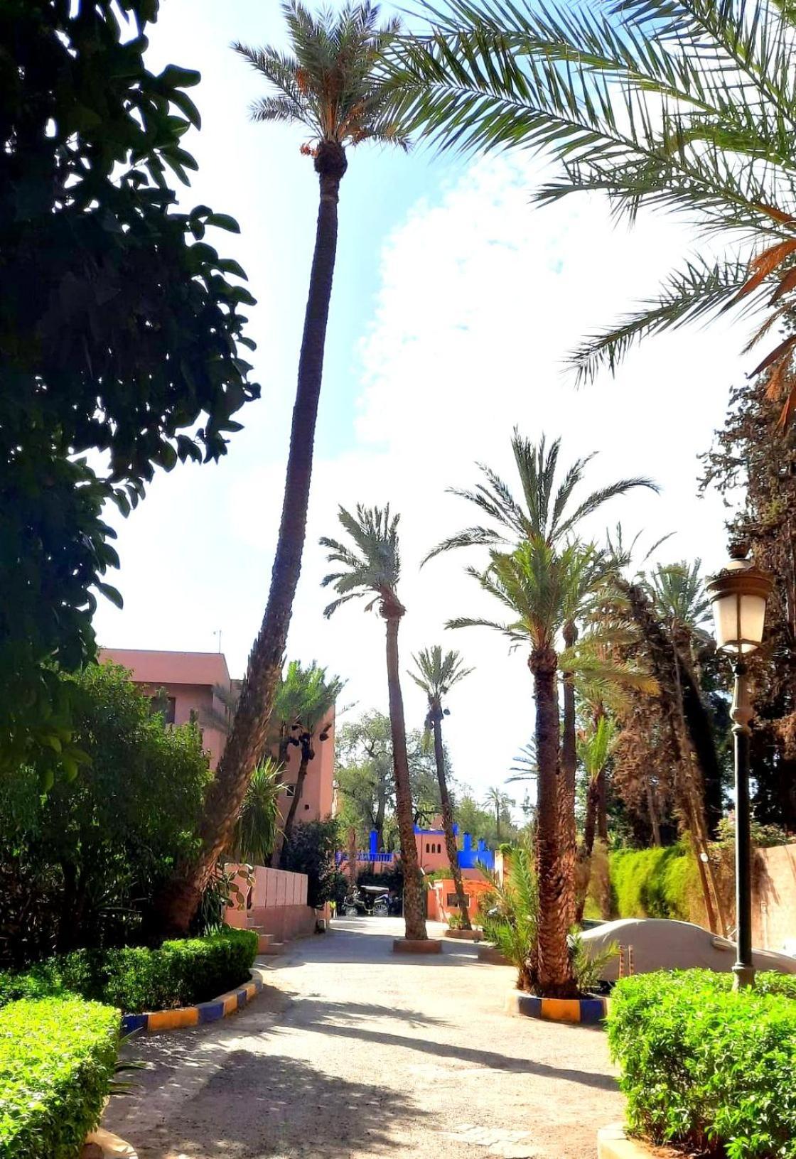 Superbe Avec Vue Sur Les Jardins Majorelle, Face Au Musee Ysl, Rue Yves Saint Laurent *