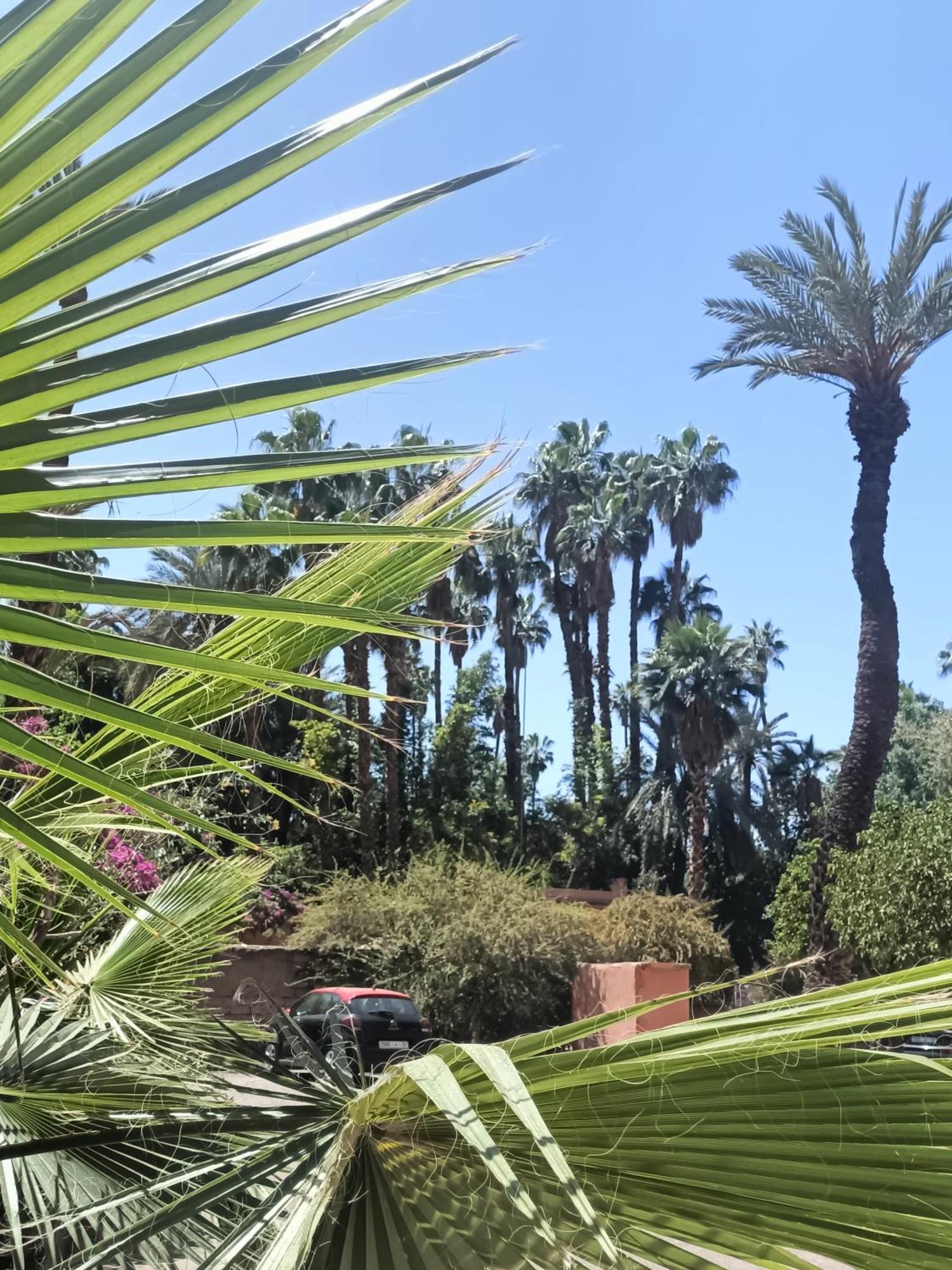 Superbe Avec Vue Sur Les Jardins Majorelle, Face Au Musee Ysl, Rue Yves Saint Laurent Appartement Marrakesh