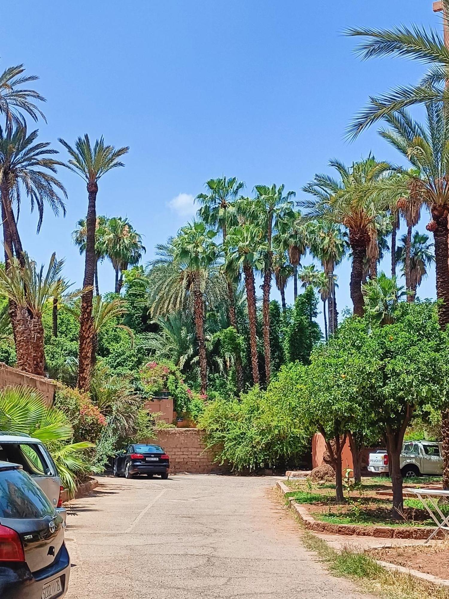Superbe Avec Vue Sur Les Jardins Majorelle, Face Au Musee Ysl, Rue Yves Saint Laurent Appartement