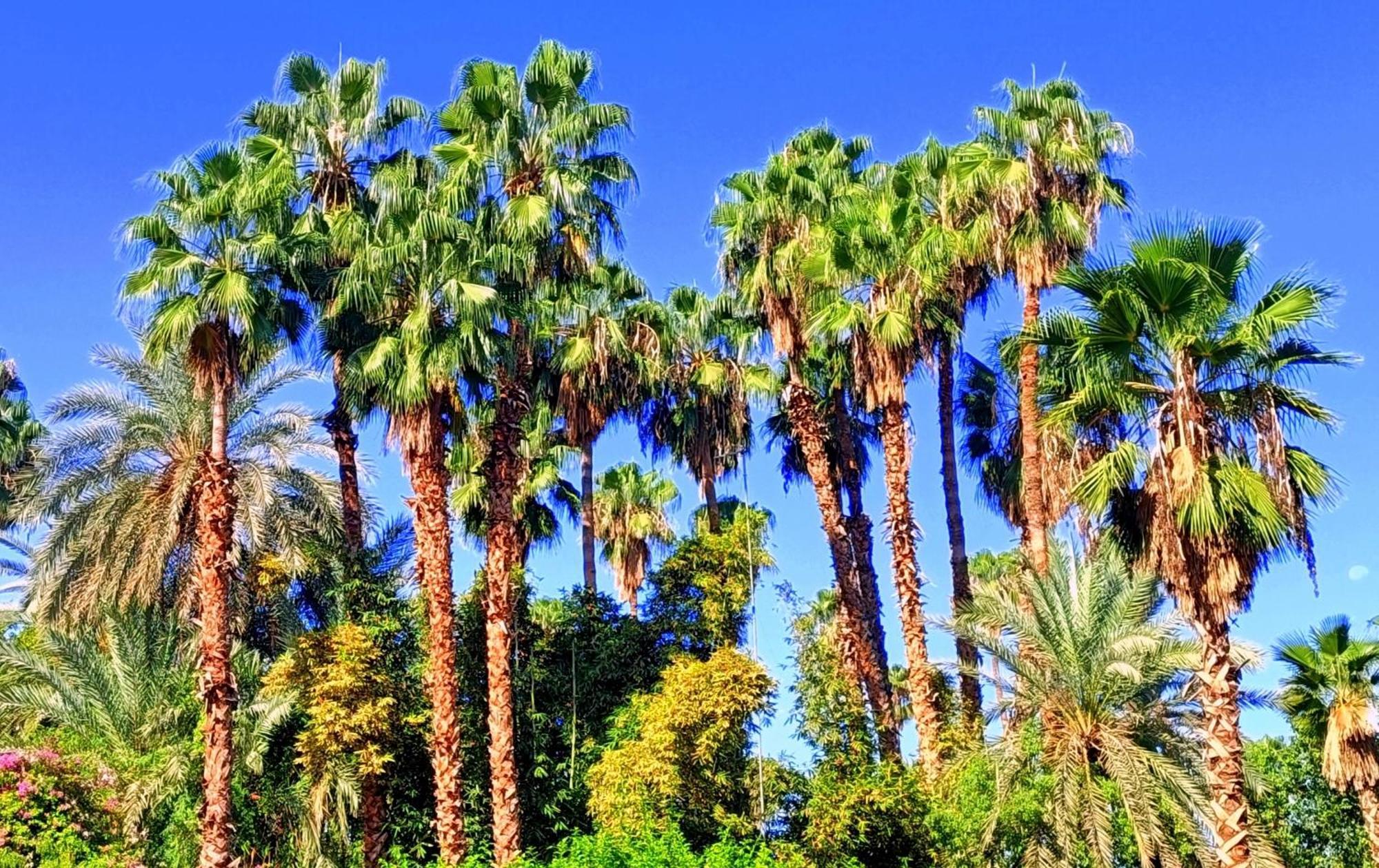 Appartement Superbe Avec Vue Sur Les Jardins Majorelle, Face Au Musee Ysl, Rue Yves Saint Laurent
